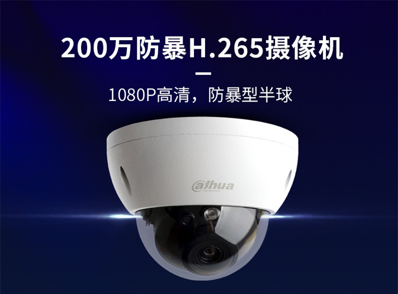 大华400万H.265 防暴半球人脸警戒网络监控1080P红外夜视摄像头室内商用远程